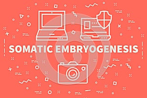 Conceptual business illustration with the words somatic embryogenesis photo