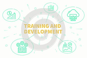 Conceptual business illustration with the words training and development