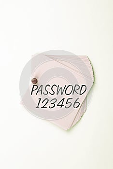 Conceptual caption Password 123456. Word for the hidden word or expression to be used to gain access to something