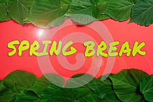 Conceptual caption Spring Break. Business concept Vacation period at school and universities during spring Important