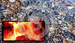 Conceptual collage about firewall and Internet security: sunny jellyfish floating in water above Black sea stones and cell phone