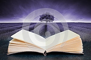 Conceptual composite open book image of Beautiful image of lavender field landscape with single tree toned in mauve photo