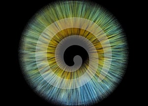 Conceptual creative photo of a male eye close-up macro pixel isolated on a black background