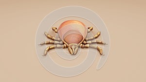 3D illustration of a tick parasite