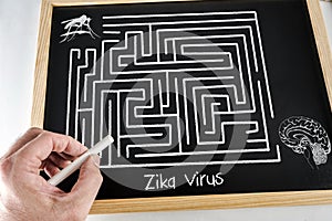 Conceptual diagram drawn with chalk on a Blackboard green of the Of Zica virus ZIKV