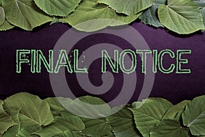 Conceptual display Final Notice. Business concept Formal Declaration or warning that action will be taken Important