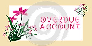 Conceptual display Overdue Account. Business showcase loans and other obligations remaining unpaid past their due