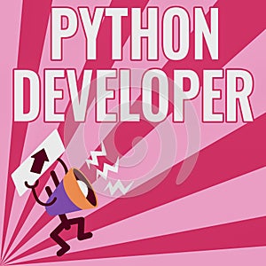 Conceptual display Python Developer. Business overview responsible for writing serverside web application logic