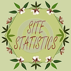 Conceptual display Site Statistics. Business overview measurement of behavior of visitors to certain website Blank Frame