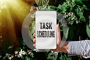 Conceptual display Task Scheduling. Business overview The assignment of start and end times to a set of tasks Voice And