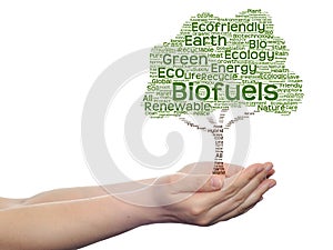 Conceptual ecology tree word cloud