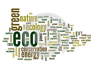 Conceptual ecology word cloud