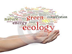 Conceptual ecology word cloud isolated