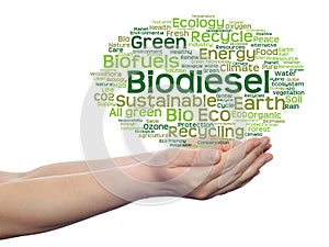 Conceptual ecology word cloud isolated