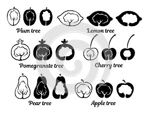 Conceptual fruit tree icons