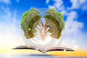 Conceptual with green tree of brain growing from book.