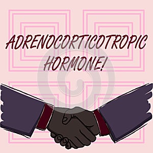 Conceptual hand writing showing Adrenocorticotropic Hormone. Business photo showcasing hormone secreted by pituitary photo