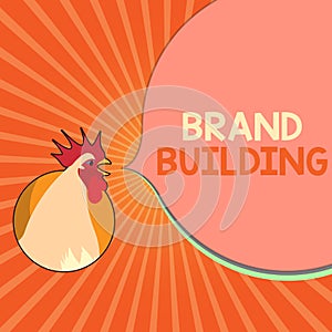 Conceptual hand writing showing Brand Building. Business photo showcasing Generating awareness Establishing and promoting company