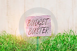 Conceptual hand writing showing Budget Buster. Business photo text Carefree Spending Bargains Unnecessary Purchases