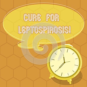Conceptual hand writing showing Cure For Leptospirosis. Business photo text Treating the contagious disease by taking