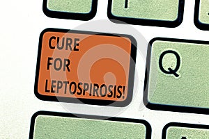 Conceptual hand writing showing Cure For Leptospirosis. Business photo text Treating the contagious disease by taking