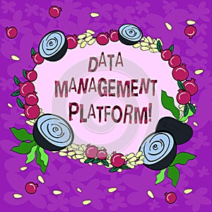 Conceptual hand writing showing Data Management Platform. Business photo showcasing Type of centralized tech platform that gathers