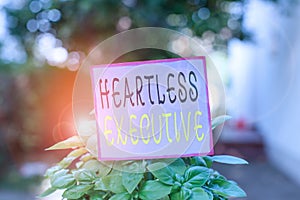 Conceptual hand writing showing Heartless Executive. Business photo showcasing workmate showing a lack of empathy or photo