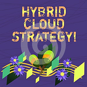 Conceptual hand writing showing Hybrid Cloud Strategy. Business photo text Cloud computing setting that uses a mix of