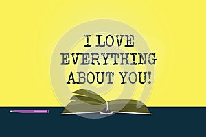 Conceptual hand writing showing I Love Everything About You. Business photo showcasing Expressing roanalysistic feelings