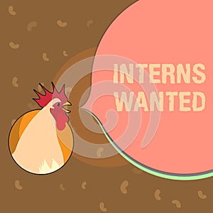 Conceptual hand writing showing Interns Wanted. Business photo text Looking for on the job trainee Part time Working student