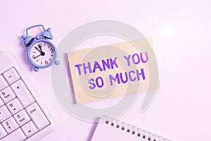 Conceptual hand writing showing Thank You So Much. Business photo text Expression of Gratitude Greetings of Appreciation