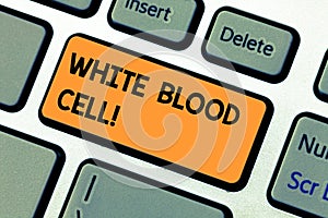 Conceptual hand writing showing White Blood Cell. Business photo text Leucocytes in charge of protect body from photo