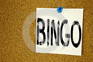 Conceptual hand writing text caption inspiration showing Bingo. Business concept for Lettering Gambling to Win Price Success writt