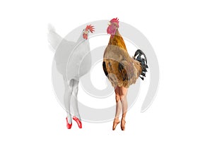Conceptual hen and rooster in the form of a balerina isolated photo
