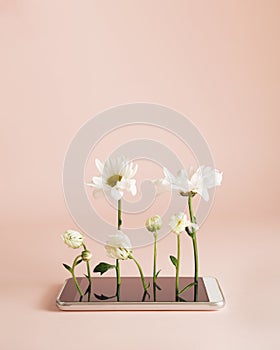 The conceptual idea of â€‹â€‹flowers growing out of the phone