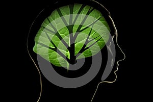 Conceptual illustration of a human head with a green leaf in place of the brain. Generative AI