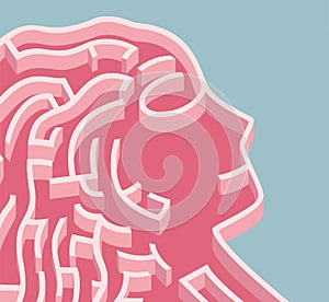 Conceptual illustration of pink maze shaped like female face