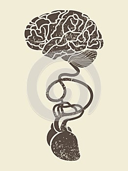 Conceptual image of brain and heart connected toge