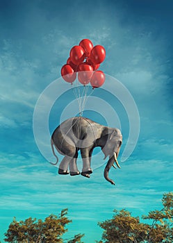 Conceptual image of an elephant flying