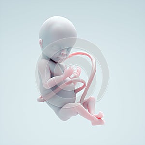 Conceptual image of a fetus. Fertility and science concept