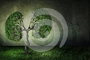 Conceptual image of green tree shaped like human lungs photo