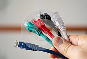 Conceptual image: a group of ethernet network cable