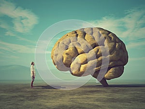 Conceptual image of a large stone in the shape of the human brain