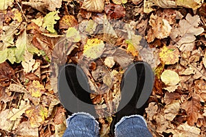 Conceptual image of legs in boots on the autumn leaves. Feet shoes walking in nature. Autumn background. Natural backdrop. Autumn