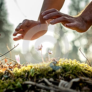 Conceptual image of male hands making a protective gesture over