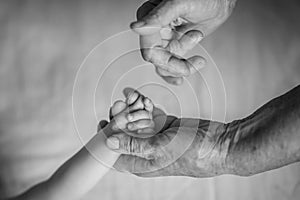 Conceptual image of Maternity. Baby hands in great-grandmother hands. great-grandmother and her great-grandson. Happy Family