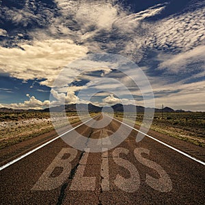 Conceptual Image of Road With the Word Bliss