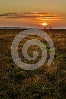 Conceptual image of sunset in grass field.