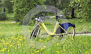 Conceptual image of travel. Bicycle in a green summer field