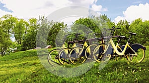 Conceptual image of travel. Bicycles on a hill in greenery